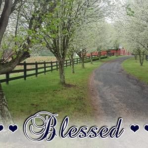 Meet your Posher, Cindy